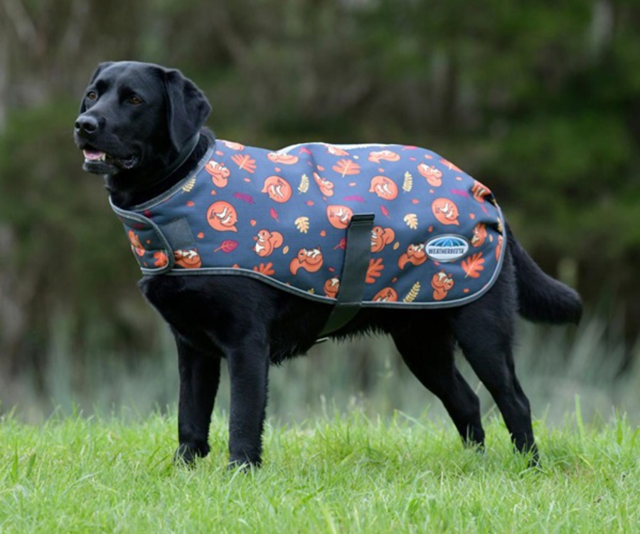 Weatherbeeta Comfi Premier Free Parka Dog Coat - Medium image 2